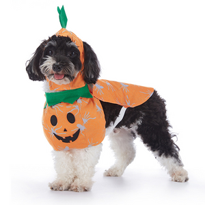 Halloween 2026