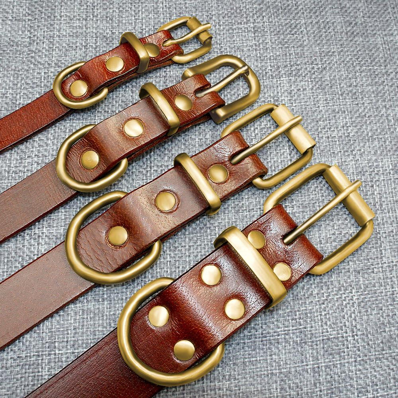 Custom Leather Dog Collars with Engraved ID Tags